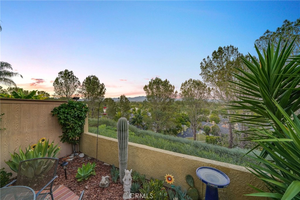 10 Acorn, Aliso Viejo CA 92656 - photo 20