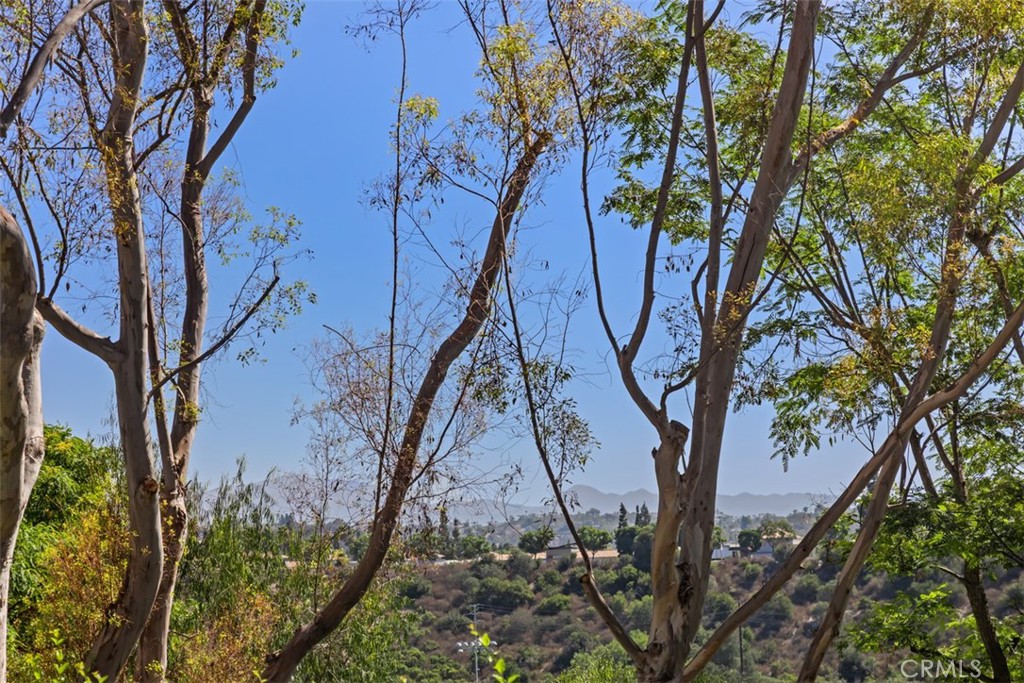 Views from back patio - 10 Sentinel, Aliso Viejo CA 92656 - photo 29