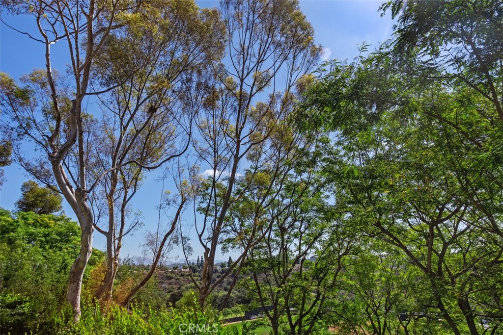 10 Sentinel, Aliso Viejo CA 92656 - photo 30