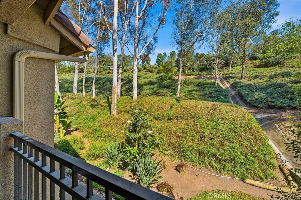 View from the front Patio - 100 Fulmar, Aliso Viejo CA 92656 - photo 1