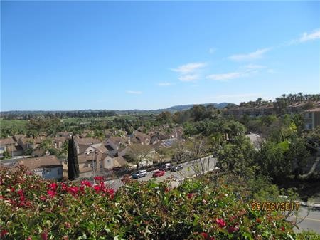 116 Cloudcrest, Aliso Viejo CA 92656 - photo 29