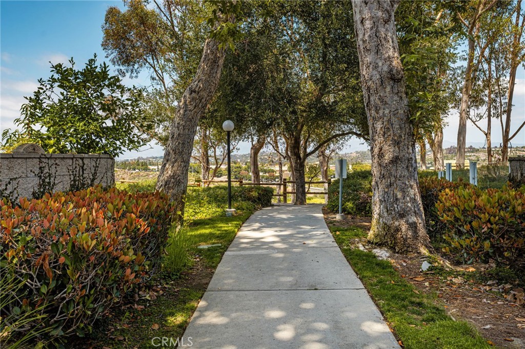 118 Matisse, Aliso Viejo CA 92656 - photo 45