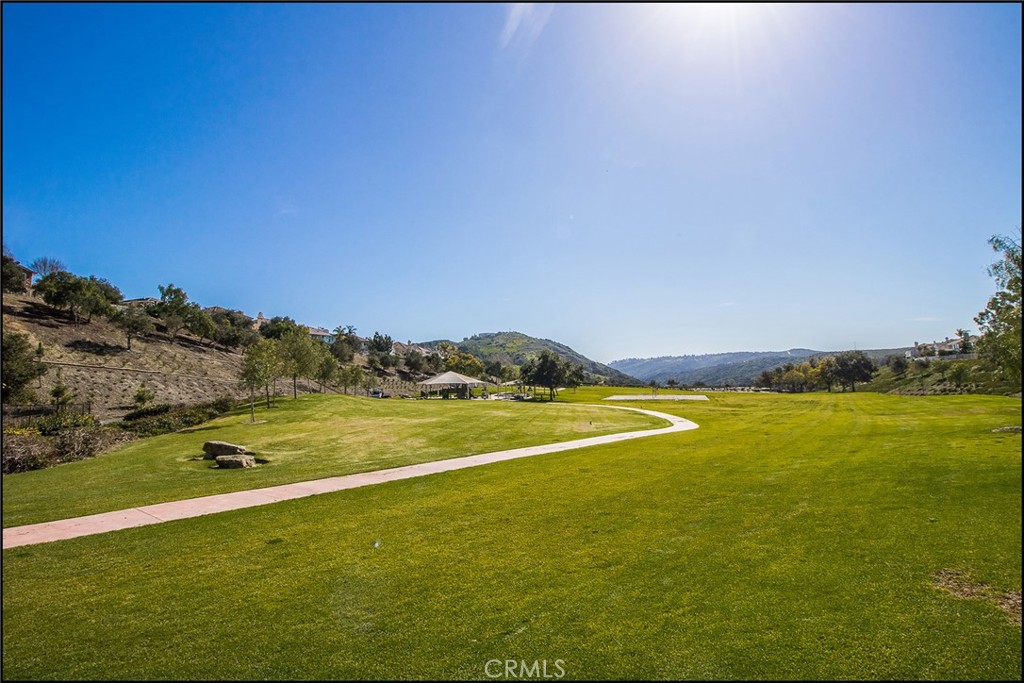 21 Elderberry, Aliso Viejo CA 92656 - photo 15