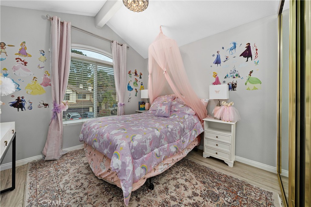 27 Rosy Finch Ln, Aliso Viejo CA 92656 - photo 19