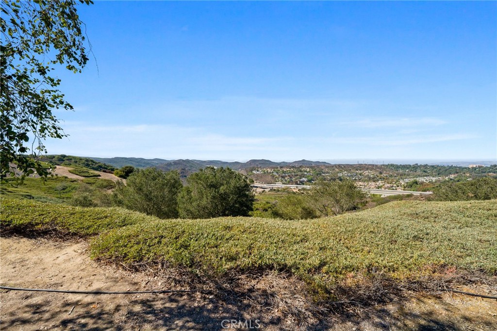 35 Hollyleaf, Aliso Viejo CA 92656 - photo 35