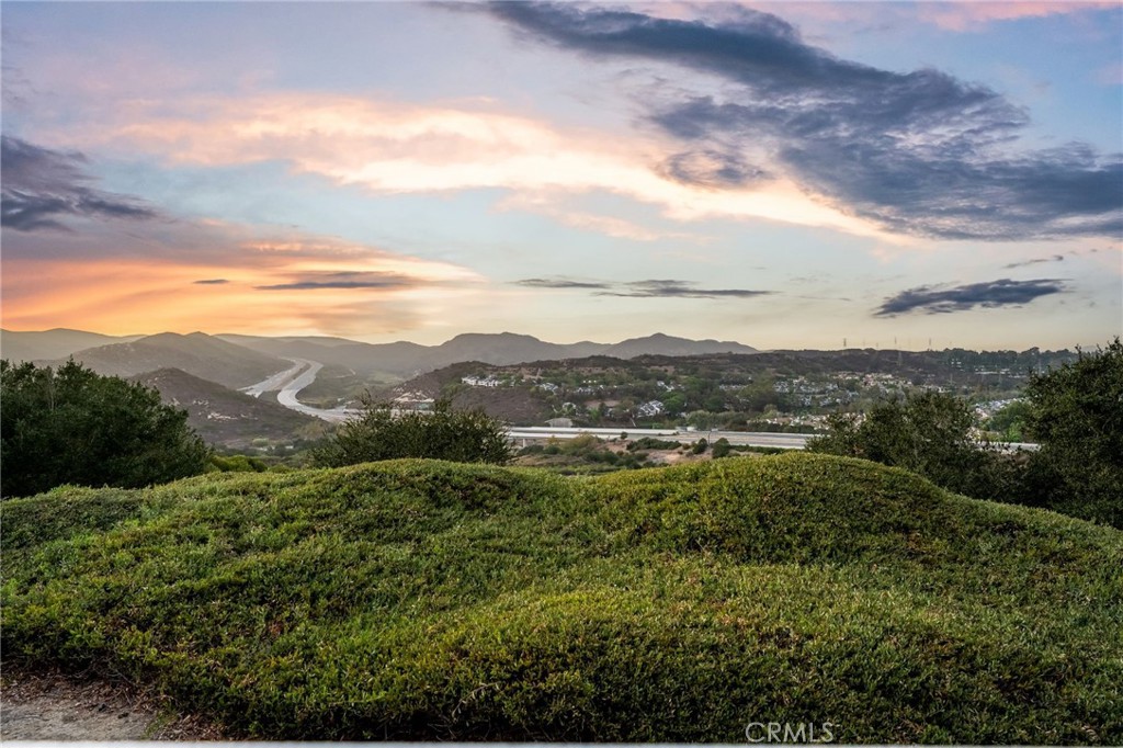 35 Hollyleaf, Aliso Viejo CA 92656 - photo 40