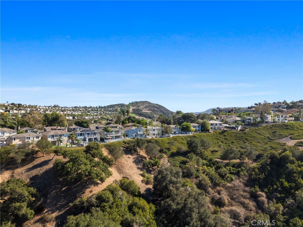 35 Hollyleaf, Aliso Viejo CA 92656 - photo 58