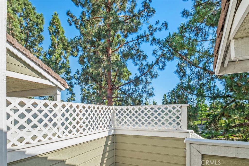 Privacy lattice with wind barrier - 40 Hollyhock, Aliso Viejo CA 92656 - photo 22