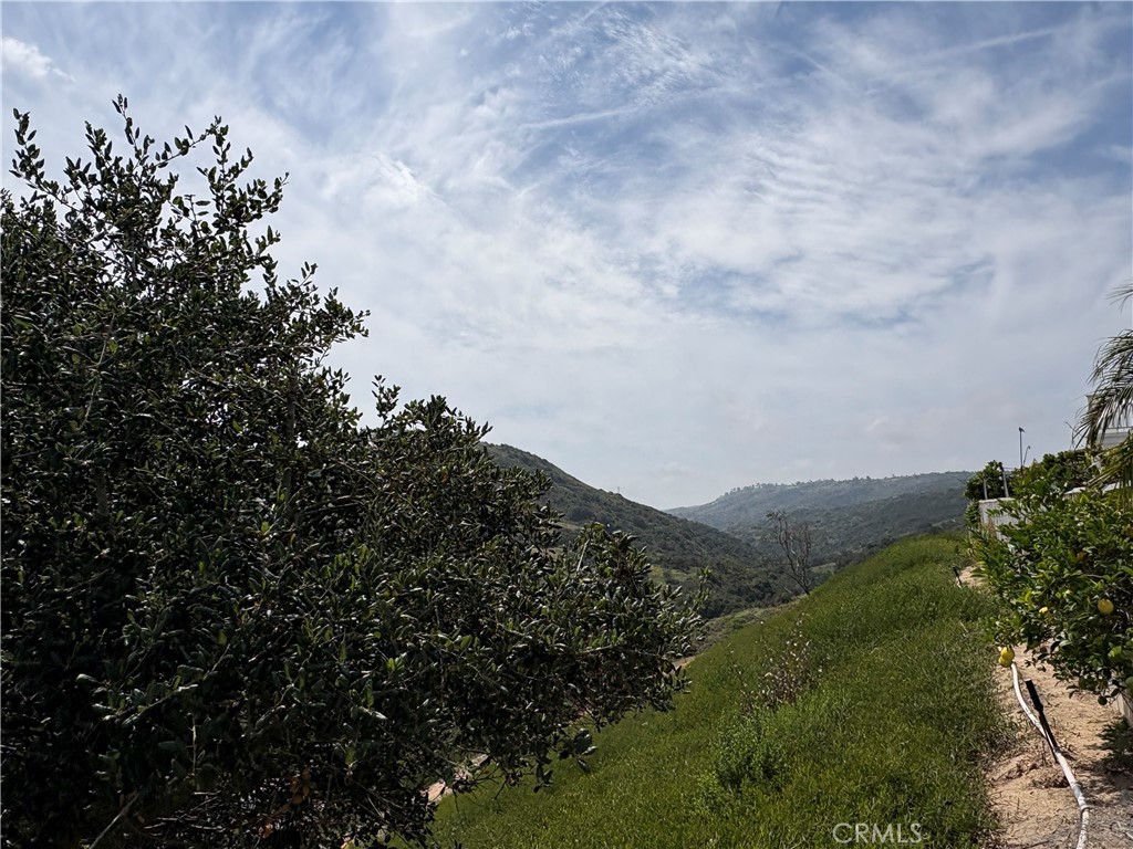 40 Silkwood, Aliso Viejo CA 92656 - photo 35