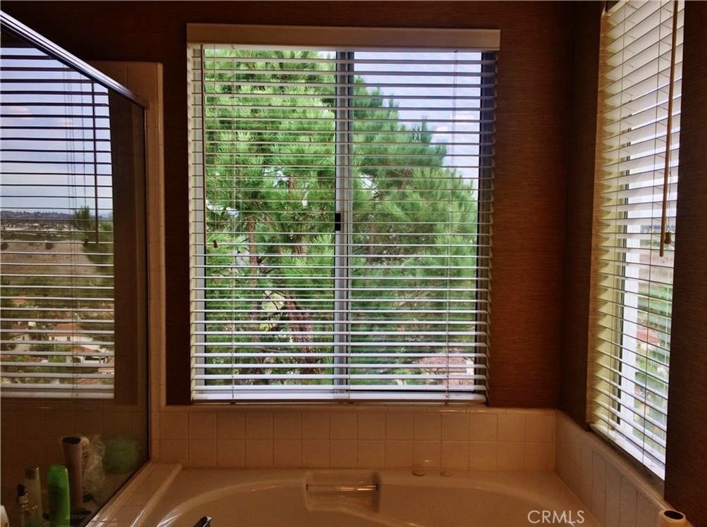 bathroom with a view - 5 Camillo, Aliso Viejo CA 92656 - photo 5