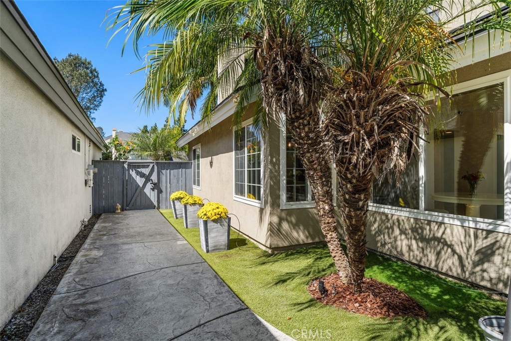 Side Yard - 6 Briarglenn, Aliso Viejo CA 92656 - photo 23
