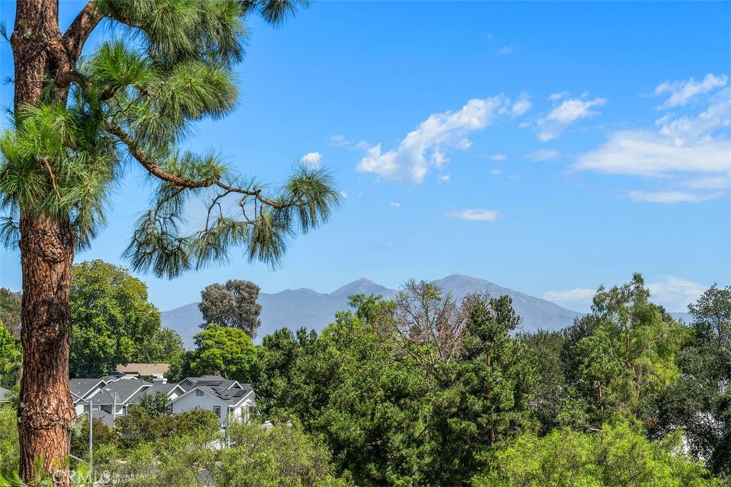 Primary Bedroom Balcony Mountain View - 6 Briarglenn, Aliso Viejo CA 92656 - photo 33