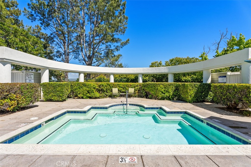 Glenwood Terrace Swimming Pool - 6 Briarglenn, Aliso Viejo CA 92656 - photo 46