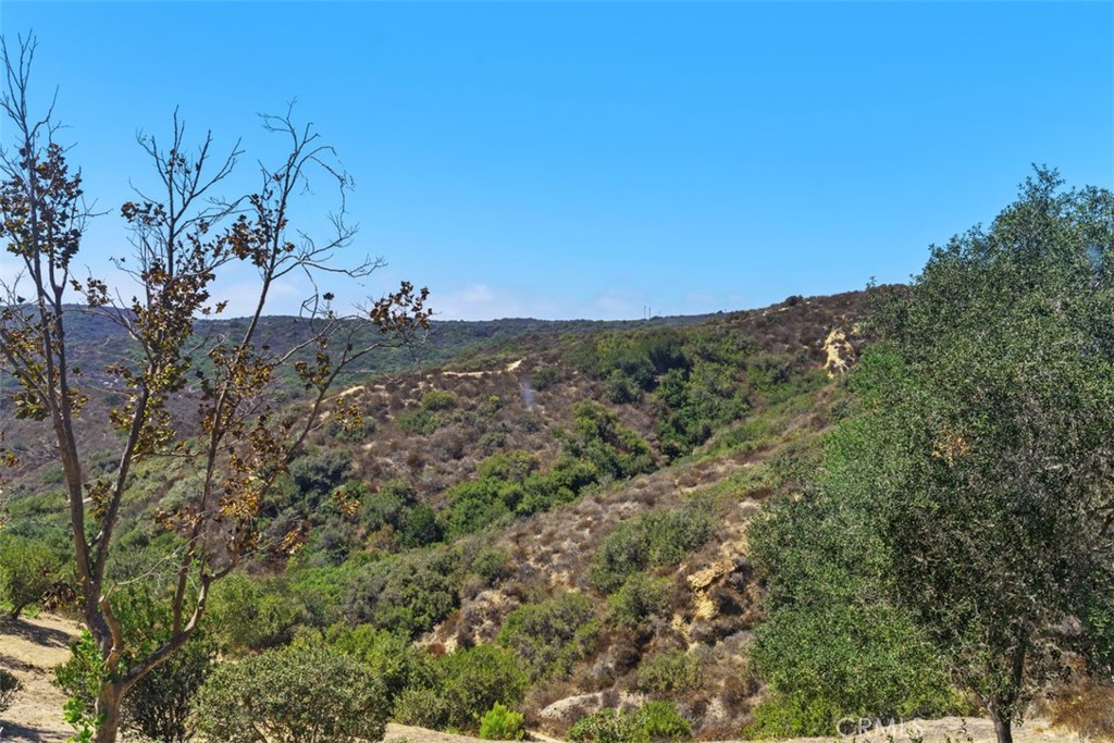 65 Vellisimo, Aliso Viejo CA 92656 - photo 36