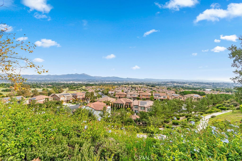 Green space area around the complex, so peaceful and quiet-nice spot to come home too! - 68 Verdin Lane, Aliso Viejo CA 92656 - photo 19