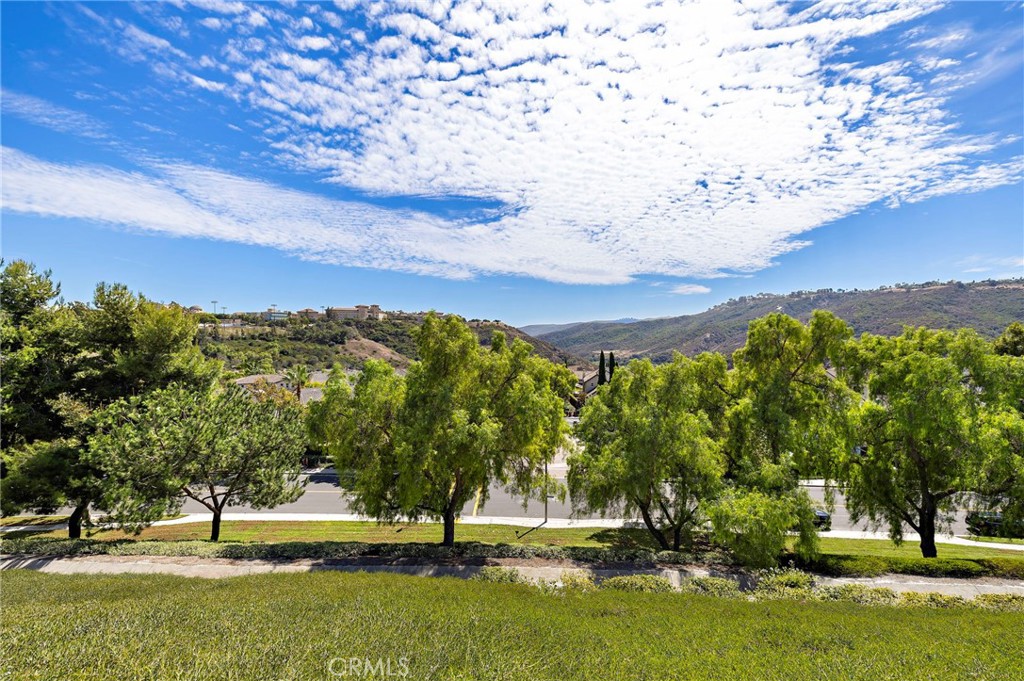 86 Endless, Aliso Viejo CA 92656 - photo 19