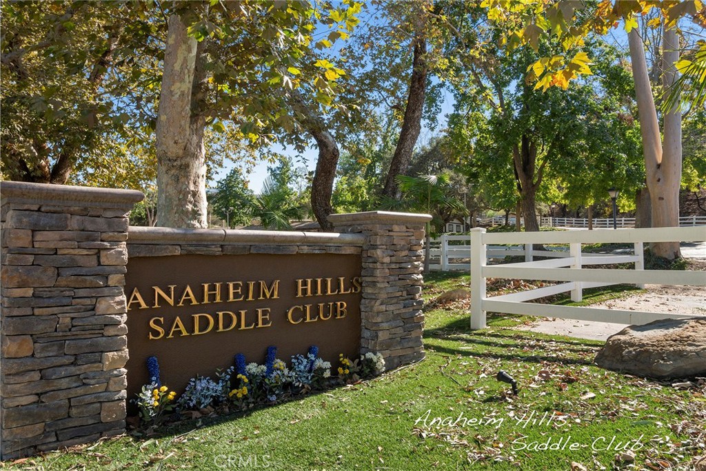 151 S Quintana Dr, Anaheim Hills CA 92807 - photo 15