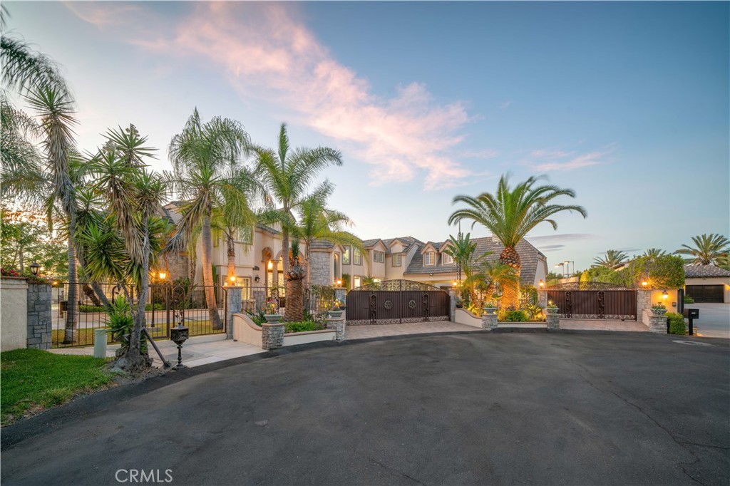 A grand gated entrance framed by towering palms and manicured landscaping creates an immediate sense of privacy and dist - 151 Toby Lane, Anaheim Hills CA 92807 - photo 1