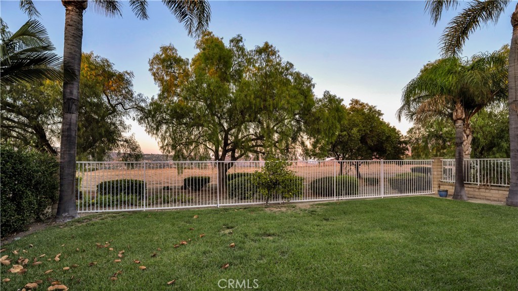 475 S Laureltree, Anaheim Hills CA 92808 - photo 38