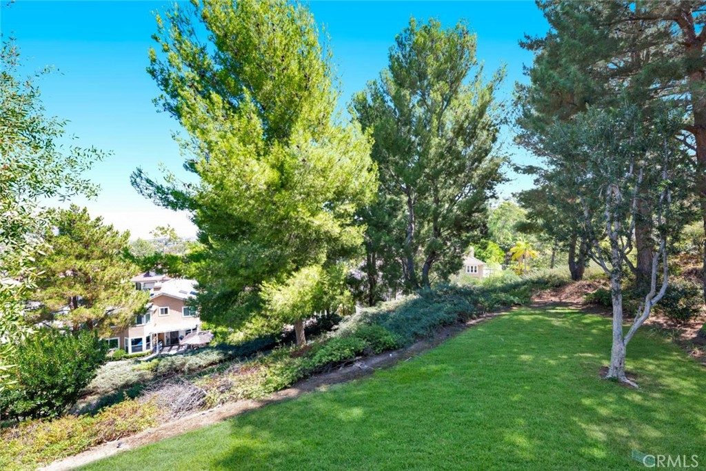 7999 E Viewrim, Anaheim Hills CA 92808 - photo 26