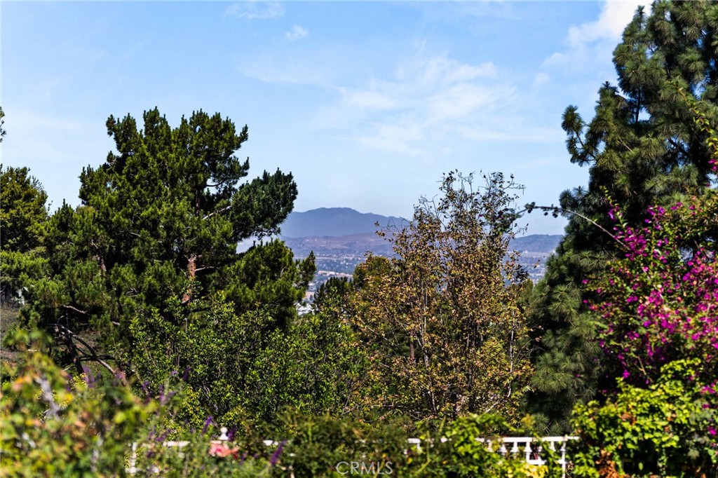 5415 E Estate Ridge, Anaheim CA 92807 - photo 48