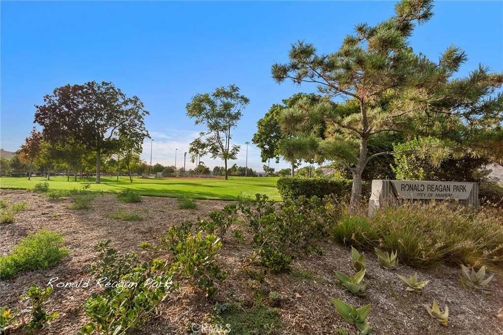 Ronald Reagan Park close by. - 8751 E Running Springs Drive, Anaheim Hills CA 92808 - photo 32