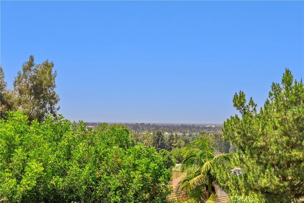 948 Malibu Canyon, Brea CA 92821 - photo 31