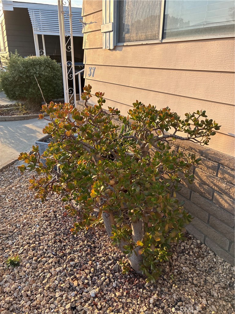 6741 Lincoln Avenue 37, Buena Park CA 90620 - photo 57