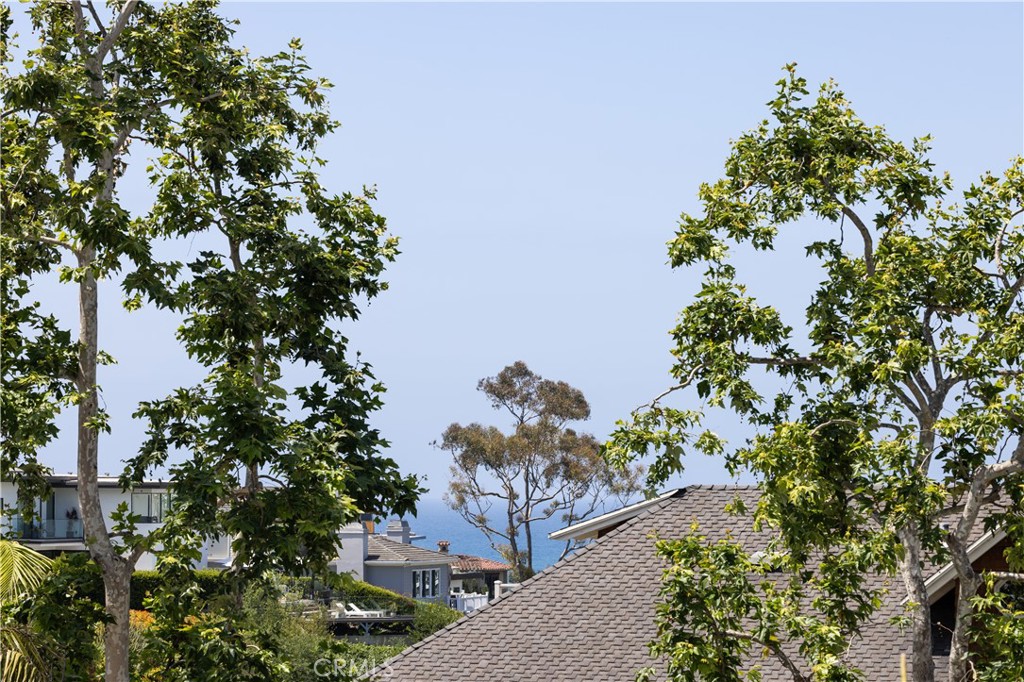 3920 E Coast Highway, Corona Del Mar CA 92625 - photo 41