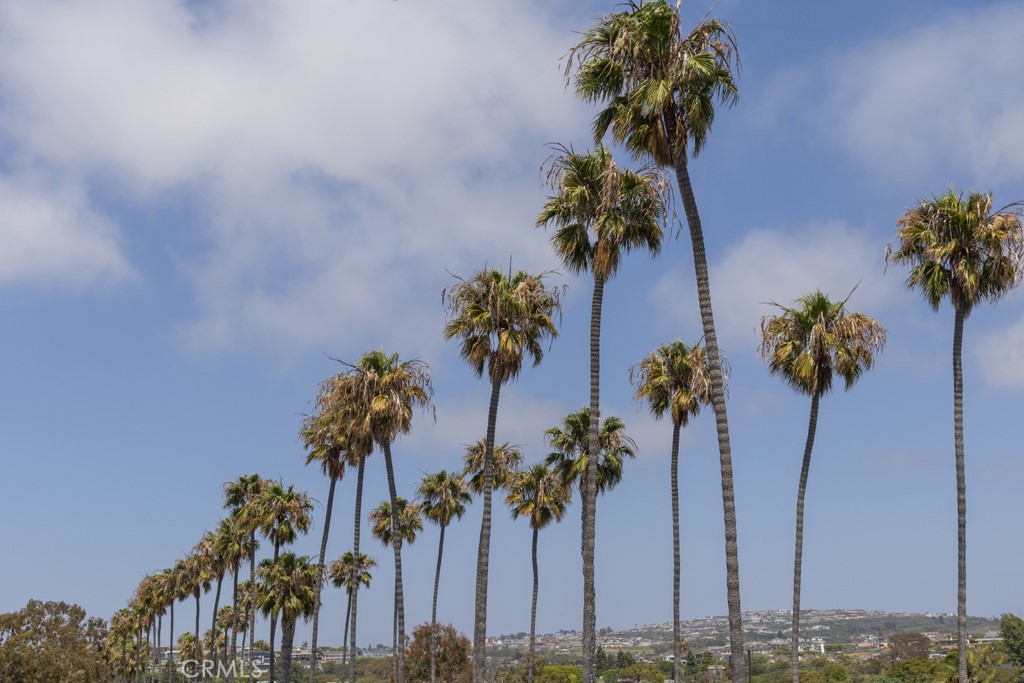 419 Goldenrod Avenue, Corona Del Mar CA 92625 - photo 22