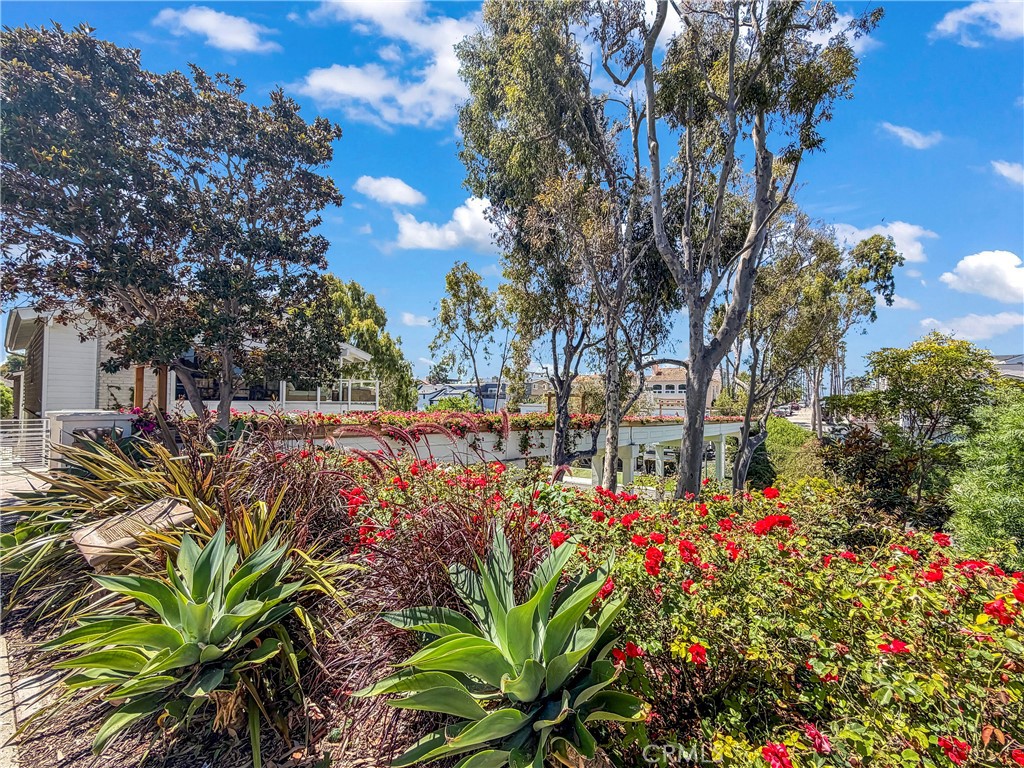 To the Beach - 429 Goldenrod, Corona Del Mar CA 92625 - photo 22
