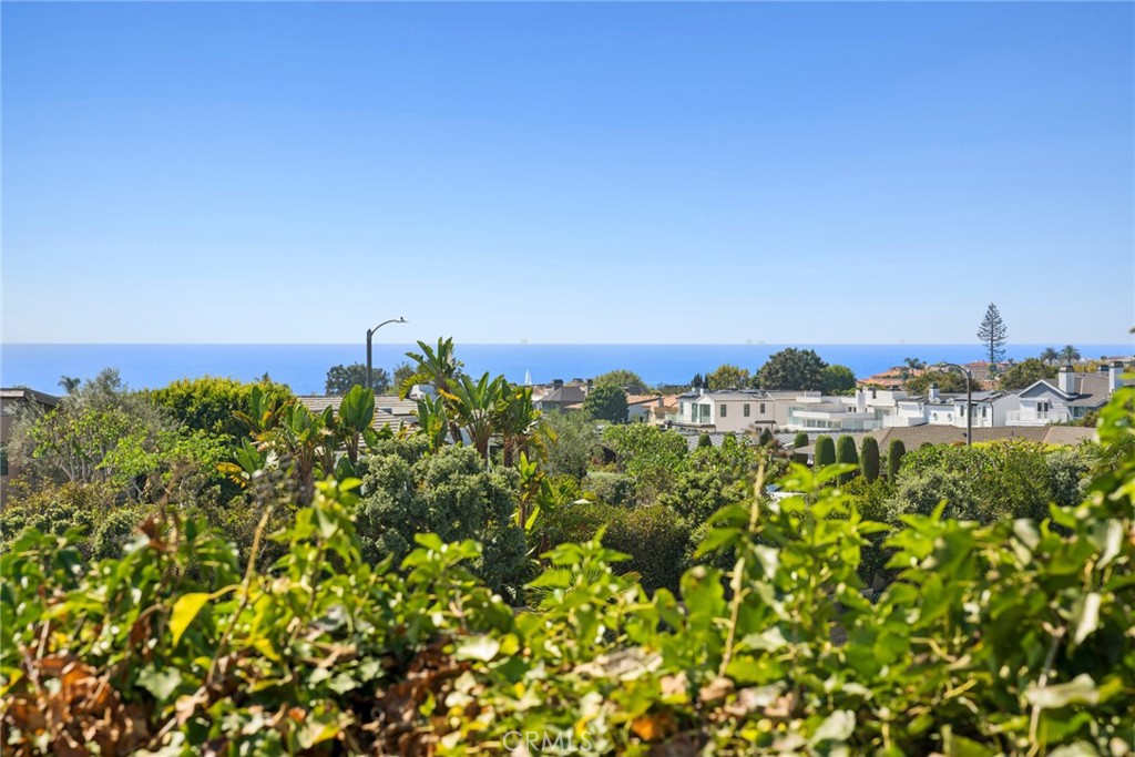The views never get old. - 4515 Cortland Drive, Corona Del Mar CA 92625 - photo 2