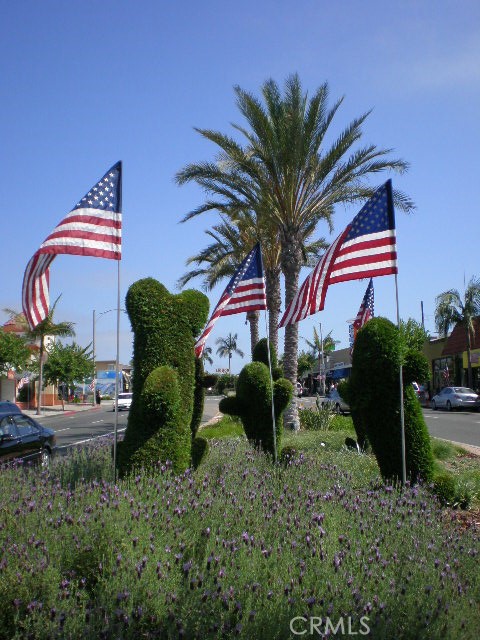 The dolphins at PCH and Marguerite which get decorated for most holidays. - 602 602.5 Marguerite 2, Corona Del Mar CA 92625 - photo 29