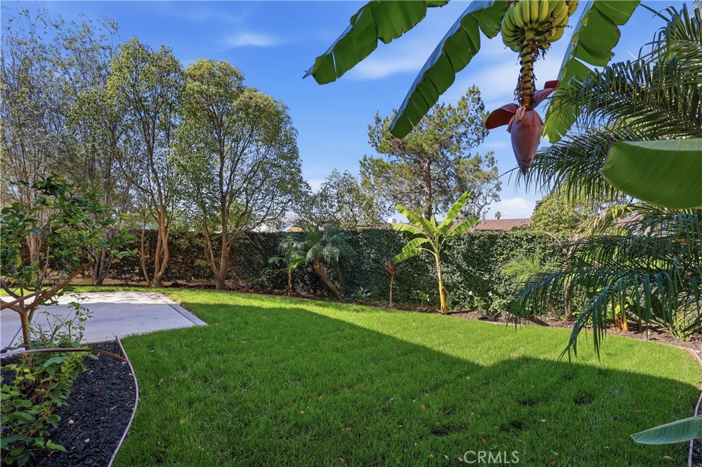 Beautifully landscaped back yard - 1044 Palmetto, Costa Mesa CA 92626 - photo 32