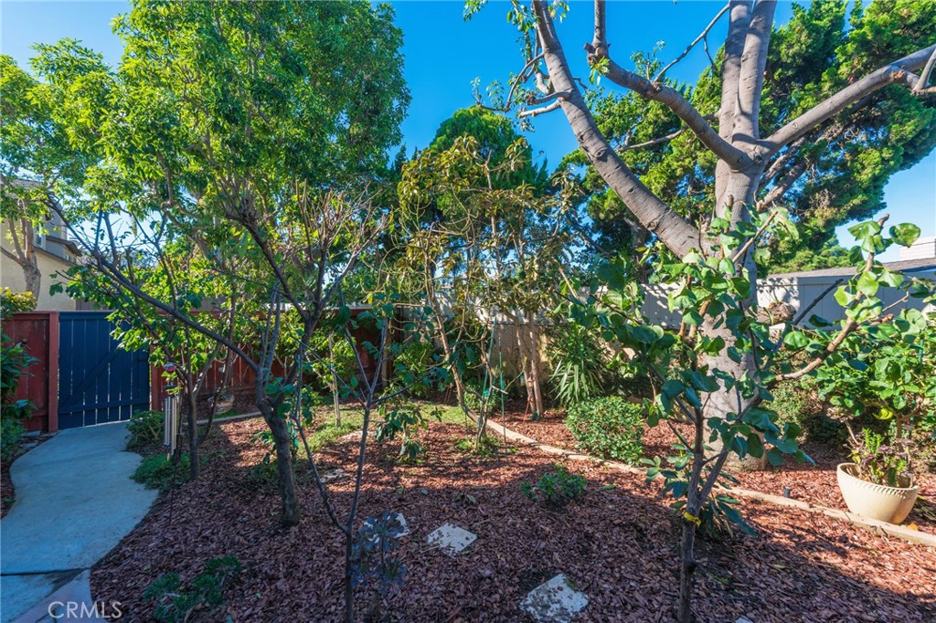 Your private gate entering into your private yard - 2168 San Michel E B, Costa Mesa CA 92627 - photo 32