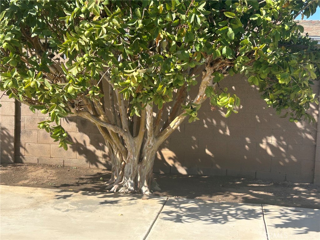 248 Wake Forest, Costa Mesa CA 92626 - photo 13