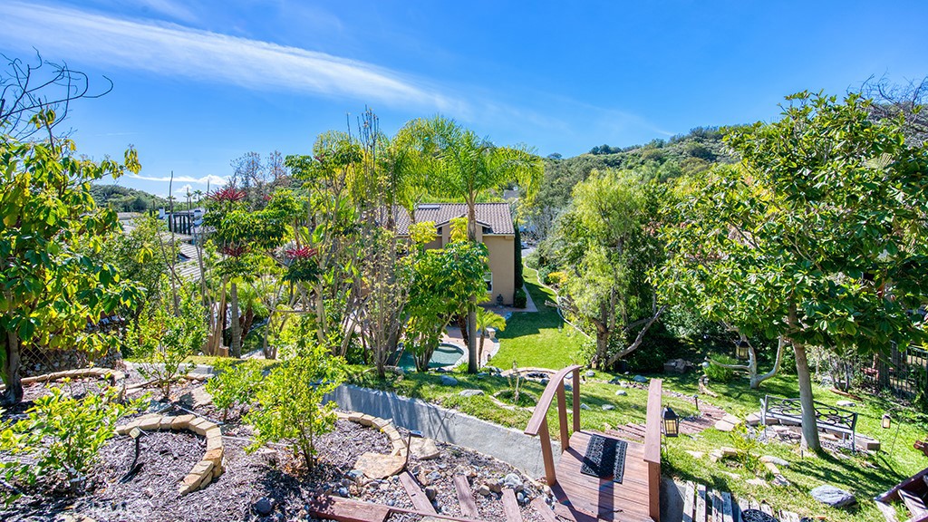 11 Lusitano, Coto de Caza CA 92679 - photo 34