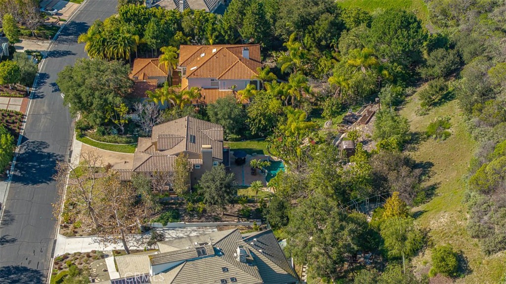11 Lusitano, Coto de Caza CA 92679 - photo 45
