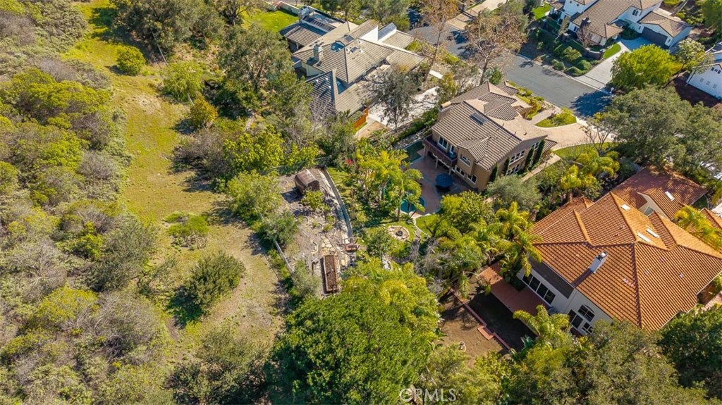 11 Lusitano, Coto de Caza CA 92679 - photo 47