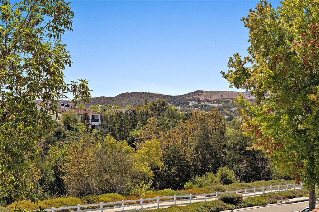 view from 2nd floor - 19 Rosana, Coto de Caza CA 92679 - photo 3