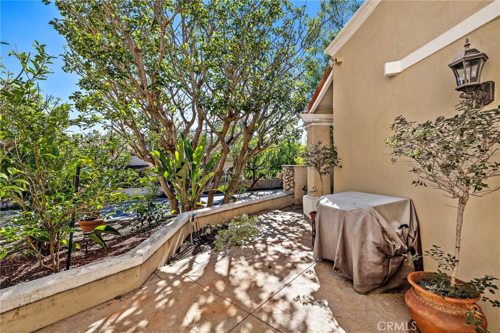 2 Avenida La Promesa, Coto de Caza CA 92679 - photo 26