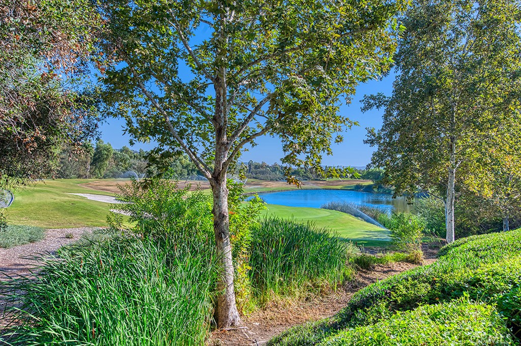 2 Lake View, Coto de Caza CA 92679 - photo 19