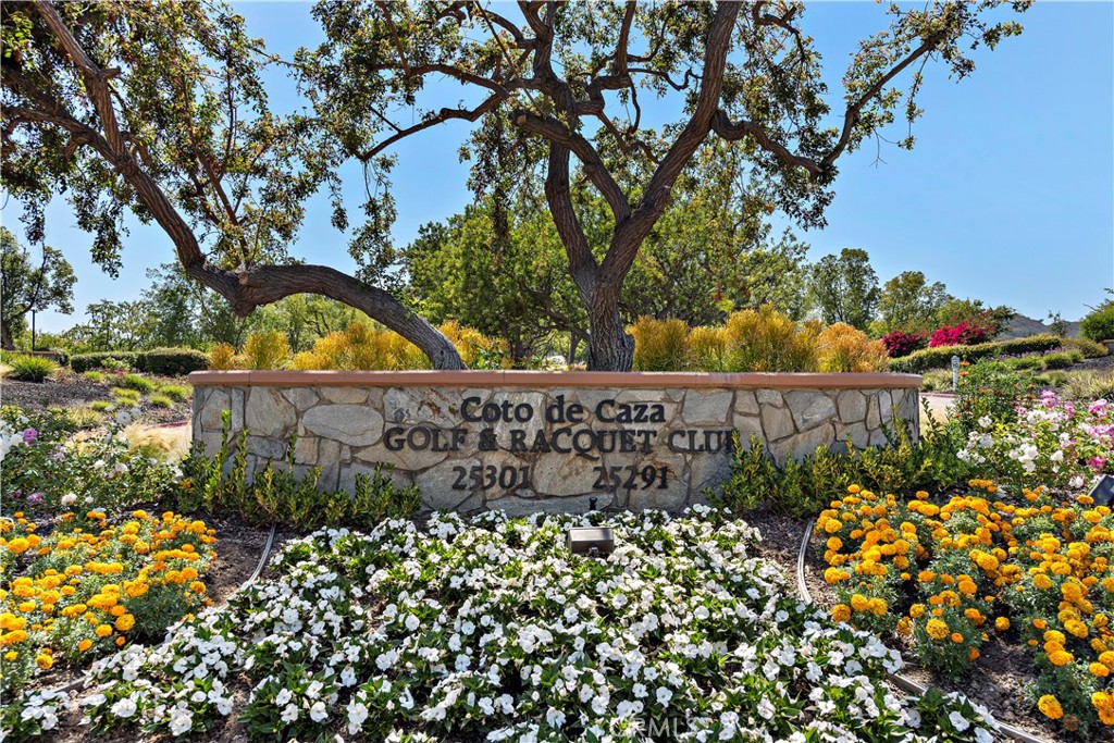 Coto De Caza Golf & Racquet Club - Entrance Sign (Contact Club for Golf/Social Membership Opportunities) - 2 Lippizaner, Coto de Caza CA 92679 - photo 64