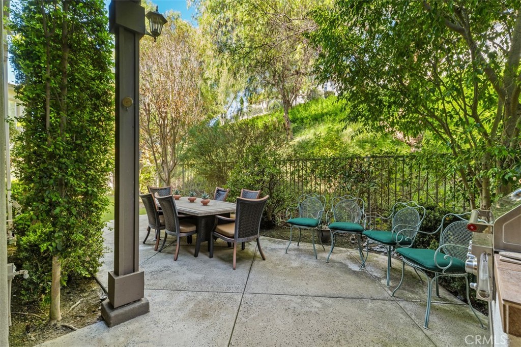 Backyard - 20 Brassie, Coto de Caza CA 92679 - photo 29