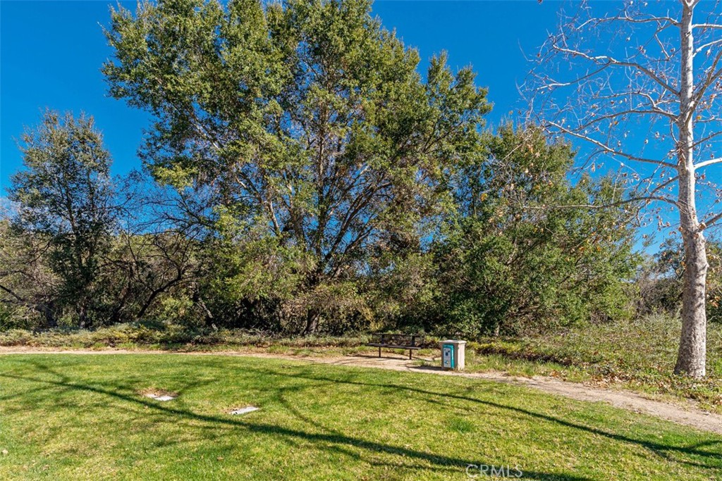30 Birkdale, Coto de Caza CA 92679 - photo 57