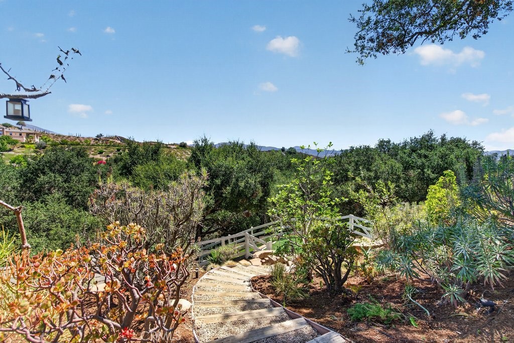 30832 Via Vista, Coto de Caza CA 92679 - photo 56