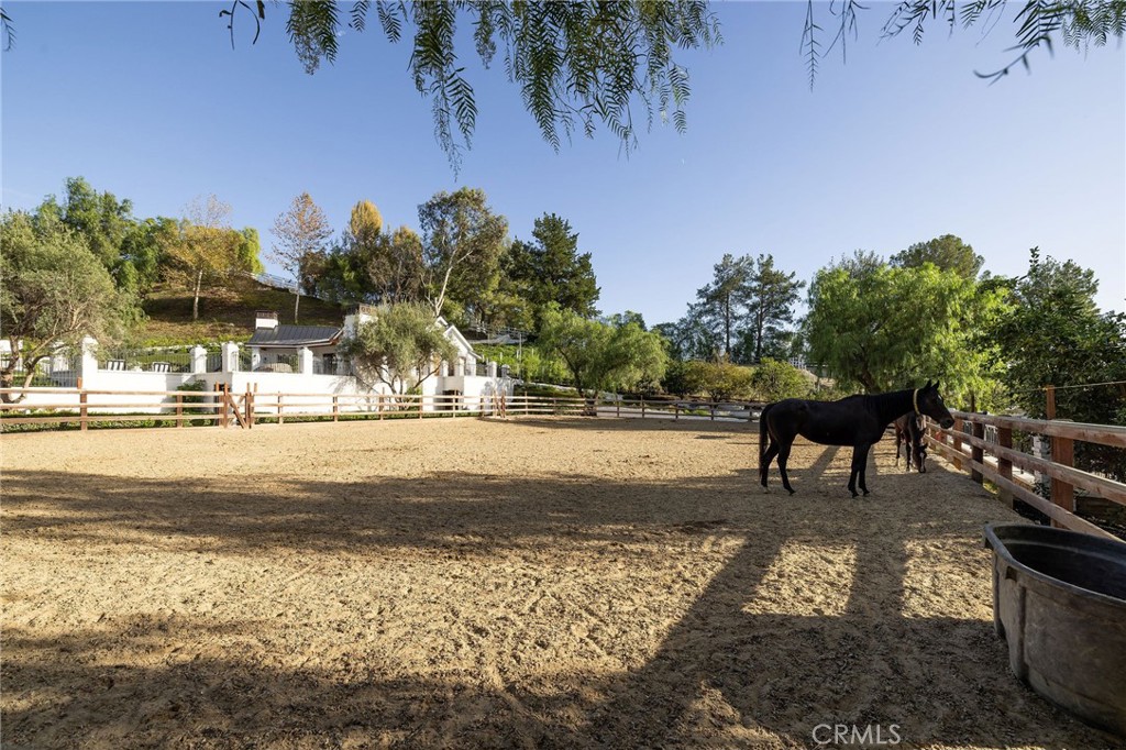 31742 Contijo Way, Coto de Caza CA 92679 - photo 59