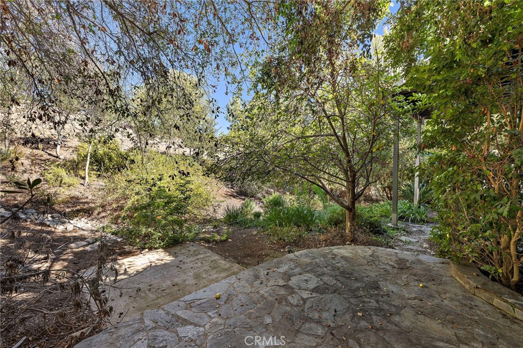 32016 Via Coyote, Coto de Caza CA 92679 - photo 34
