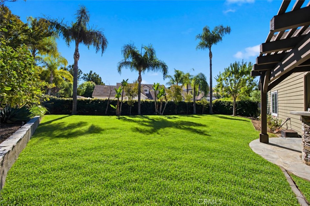Lawn area (lawn has been digitally enhanced) - 46 Lexington, Coto de Caza CA 92679 - photo 44