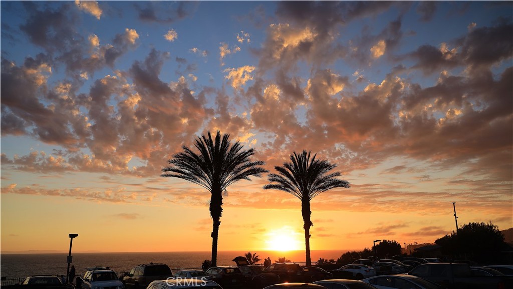 105 Palm Beach, Dana Point CA 92629 - photo 31